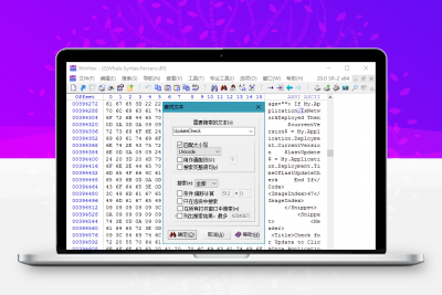WinHex v20.3绿色单文件版缩略图