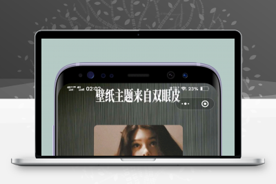 双眼皮壁纸小程序V2.0.1源码-基于WordPress开发-可二开无授权缩略图