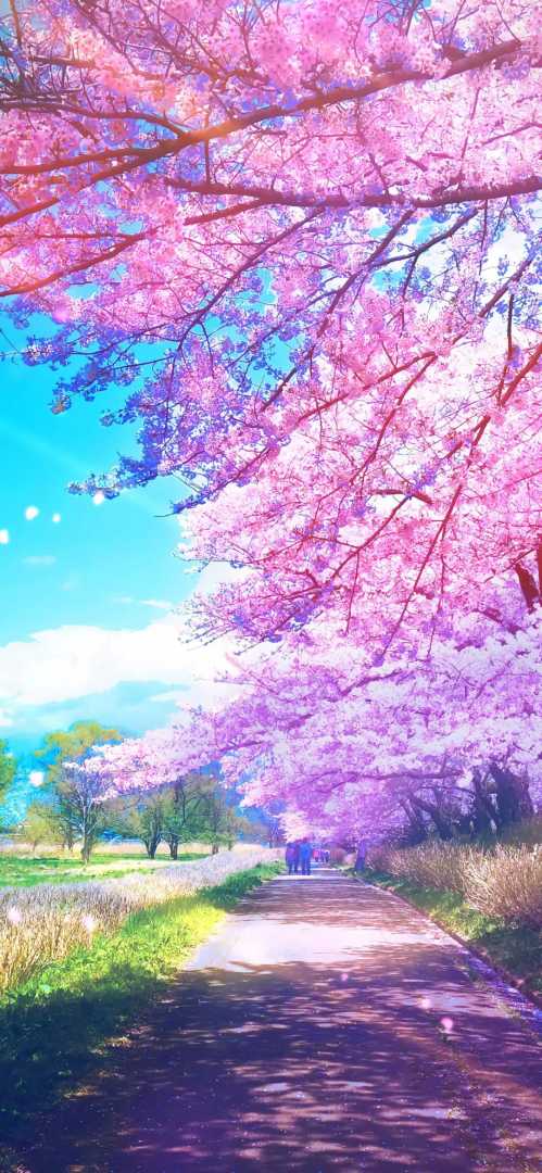 壁纸推荐 ▏念一世情长,伴岁月沧桑!像人间不该有的季节。| 静鱼客栈插图3 壁纸推荐 ▏念一世情长,伴岁月沧桑!像人间不该有的季节。| 静鱼客栈