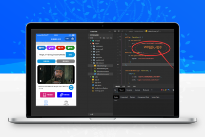 去水印微信小程序开源无加密（无需服务器＋带流量主）内含接口，支持抖音，快手图集，皮皮虾等平台带安装教程缩略图
