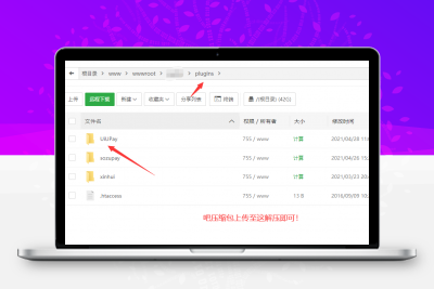 UiUPay 三方支付对接彩虹易支付插件缩略图