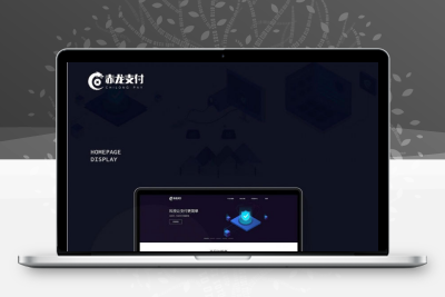 原生第四方支付二开系统赤龙源码+手机端app源码+支付系统源码+监控系统源码缩略图