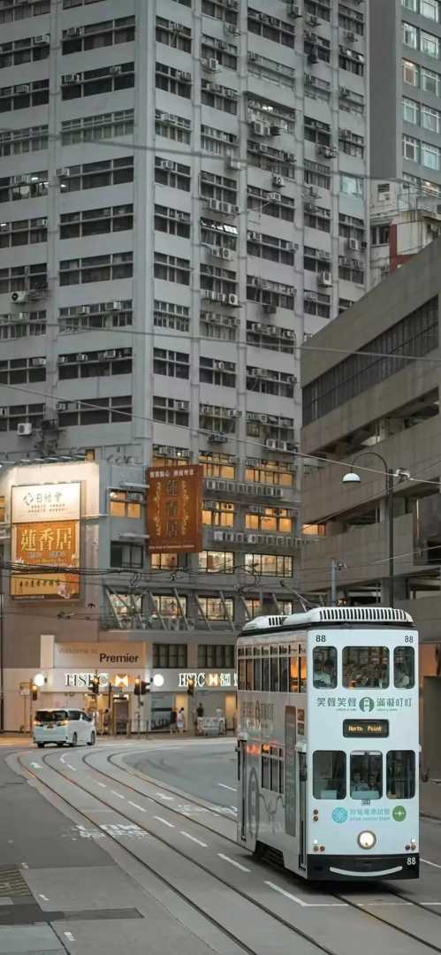 壁纸推荐丨没有惊喜和感动,会发现孤单其实就是自由插图3 壁纸推荐丨没有惊喜和感动,会发现孤单其实就是自由