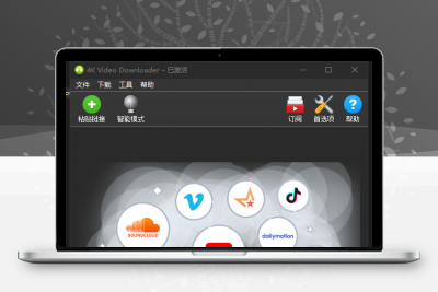 4K Video Downloader 专业已激活v4.17.1.4410 便携版缩略图