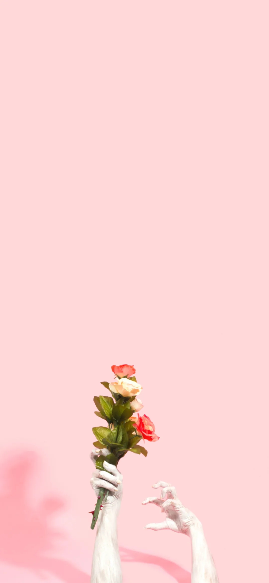 简约壁纸丨我可以选择一蹶不振,我偏要一鸣惊人-静鱼客栈插图6 简约壁纸丨我可以选择一蹶不振,我偏要一鸣惊人-静鱼客栈