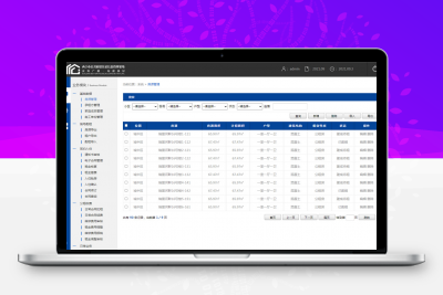 XX市公共租赁住房信息管理系统模板缩略图