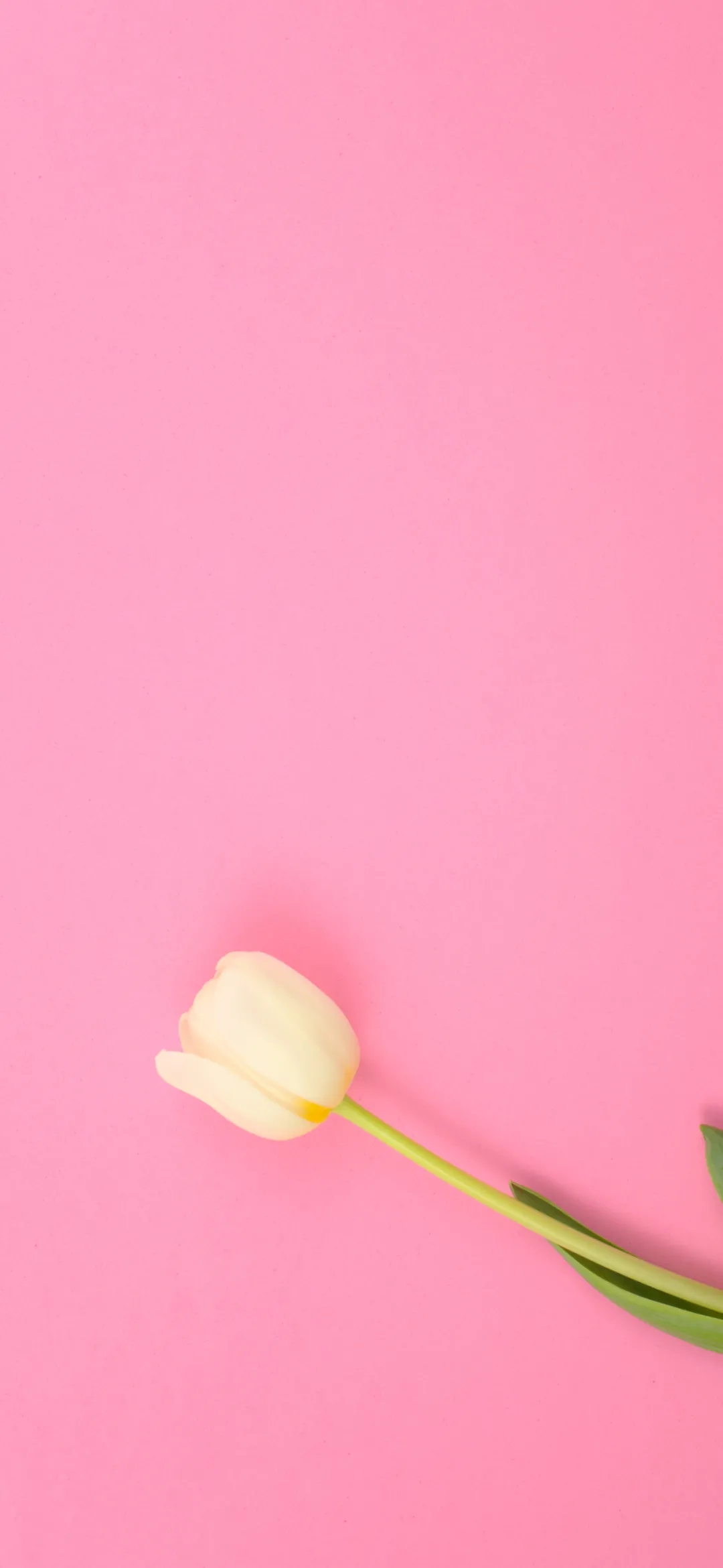 简约壁纸丨我可以选择一蹶不振,我偏要一鸣惊人-静鱼客栈插图7 简约壁纸丨我可以选择一蹶不振,我偏要一鸣惊人-静鱼客栈