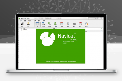 Navicat_for_mysql_V11.0.10企业版绿色中文版缩略图