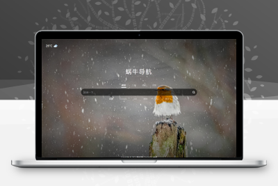 蜗牛导航网站模板+随机壁纸+天气插件缩略图