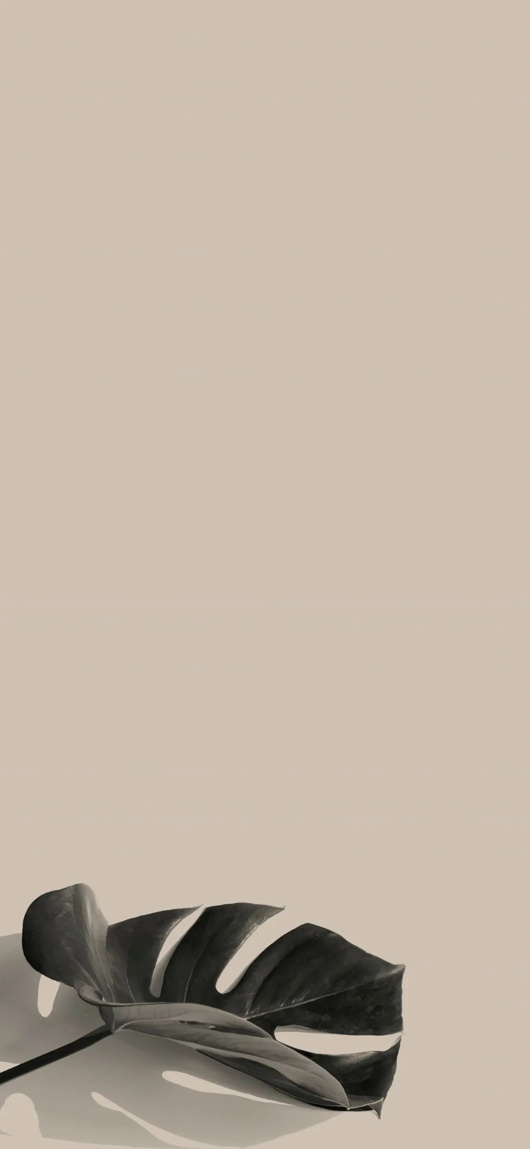 简约壁纸丨我可以选择一蹶不振,我偏要一鸣惊人-静鱼客栈插图8 简约壁纸丨我可以选择一蹶不振,我偏要一鸣惊人-静鱼客栈