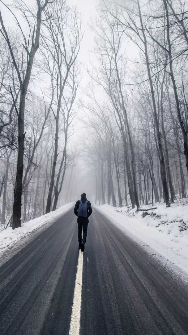 手机壁纸推荐 |  总会相逢，就像山川河流 -静鱼客栈缩略图