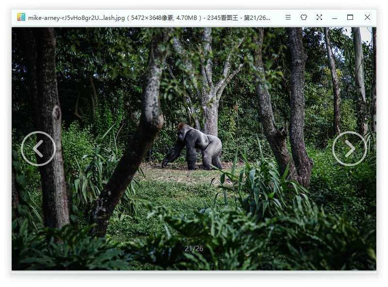 2345看图王v10.8.0.9689精简版-第6张插图 2345看图王v10.8.0.9689精简版