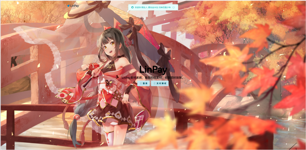 2024首发最新LinPay码支付免授权版，LinPay码支付官网，码支付，源支付缩略图
